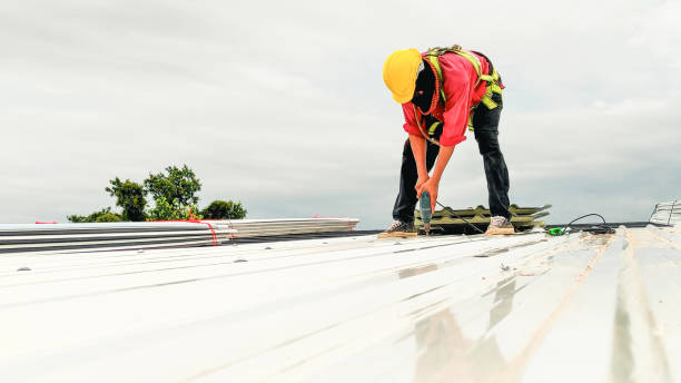 Best Roof Installation  in Lake Barrington, IL